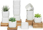 T4U 2 Inch Mini White Square Succulent Pots with Bamboo Trays, Mini Ceramic Planters for Tiny Cactus, Air Plants, Faux Plants – Gift for Plant Lovers, Desk & Home Decor (12 Pack)