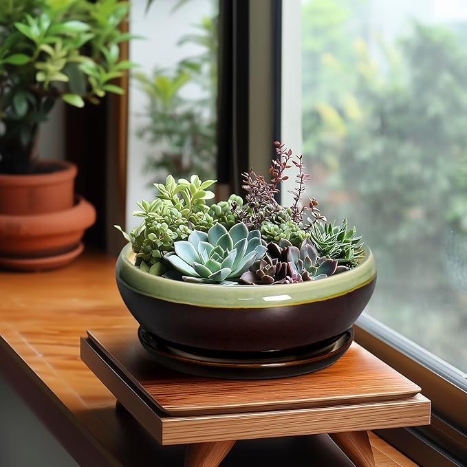 SQOWL Bonsai Pots 8 Inch - Ceramic Succulent Planters with Drainage Hole and Tray, Round Shallow Planter for Indoor Plants, Ceramic Planter Bowl Outdoor, Living Room Decor, Garden Gift, Green-Brown