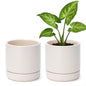 D'vine Dev Set of 2 Plants Pots, 4.7 Inch Ceramic Planter Pot for Plants with Drainage Hole and Saucer, Oatmeal, 94-V-B-8