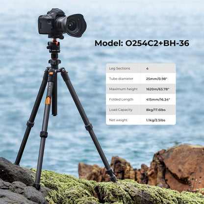 K&F Concept 64" Carbon Fiber Camera Tripod,Lightweight Travel Tripod with 36mm Metal Ball Head Load Capacity 17.6lbs, Quick Release Plate,for DSLR Cameras Indoor Outdoor Use K254C2+BH-36L