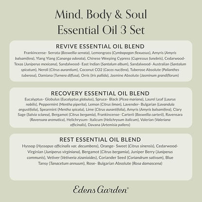 Edens Garden Mind, Body & Soul Essential Oil 3 Set – 100% Pure Therapeutic Grade, Undiluted Aromatherapy- Revive, Recovery, Rest Blends– for Natural Wellness, Humidifiers & Diffusers, 10 ml/ 3 Pack