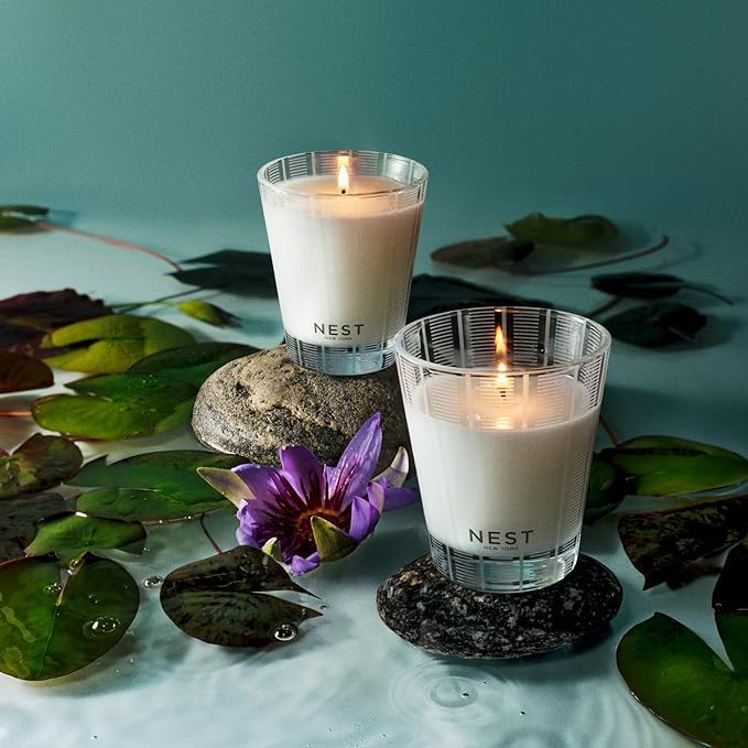 NEST New York Scented Classic Candle, Forest Rain - 8.1 oz - Up to 60-Hour Burn Time - Reusable Glass Vessel