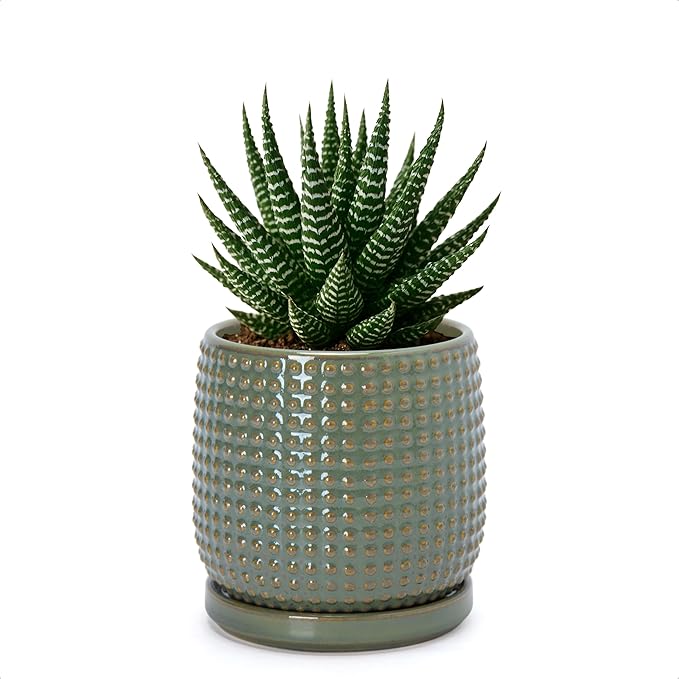 D'vine Dev 4 Inch Ceramic Beaded Stoneware Planter Pot - Flower Pot with Drainage Holes and Saucers for Indoor Succulent Plants or Flowers, Olive, 27-C-Z-0