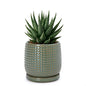 D'vine Dev 4 Inch Ceramic Beaded Stoneware Planter Pot - Flower Pot with Drainage Holes and Saucers for Indoor Succulent Plants or Flowers, Olive, 27-C-Z-0