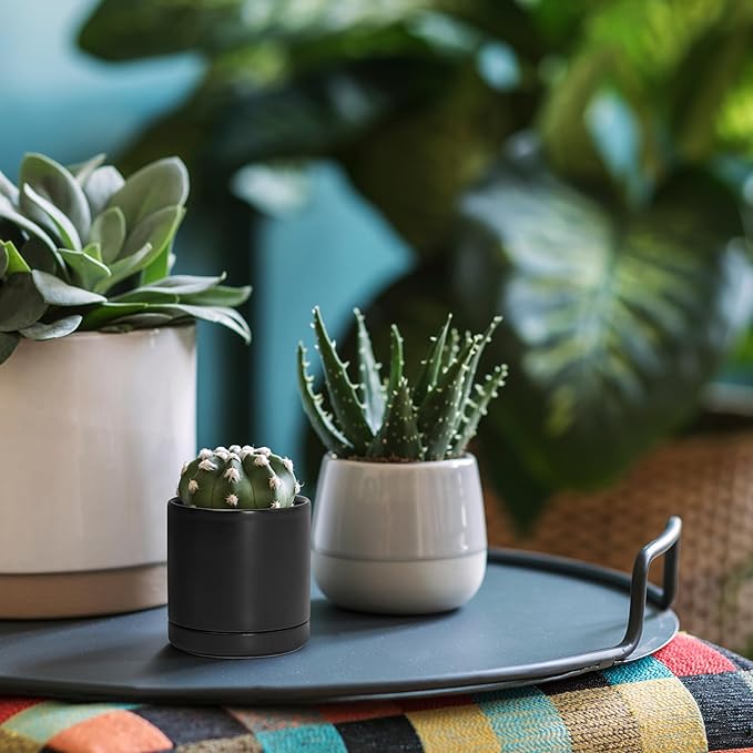 D'vine Dev 3.5 Inch Ceramic Planter Pot with Drainage Hole and Saucer, Indoor Cylinder Round Planter Pot, Black, 94-O-A-2