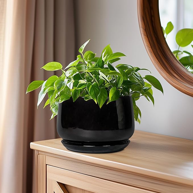 G EPGardening 6 Inch Planter - Ceramic Pot for Plants, Ceramic Planter with Drainage and Saucer, Round Flower Pot Indoor Outdoor, Modern Room Decor, Home Gifts, Black