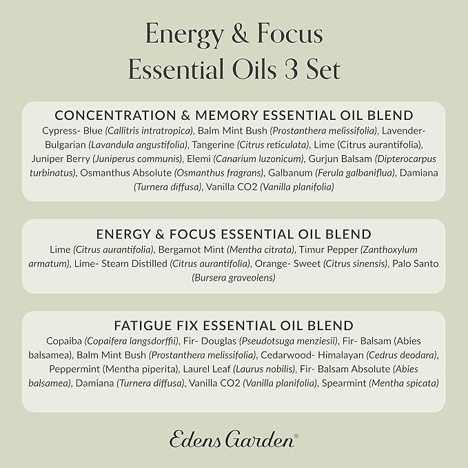 Edens Garden Energy & Focus Essential Oil 3 Set – 100% Pure Therapeutic Grade Aromatherapy Blends Kit For Concentration, Memory & Fatigue – Ideal For Diffuser, Massage, Home & Skin Care, 10 ml/ 3 Pack