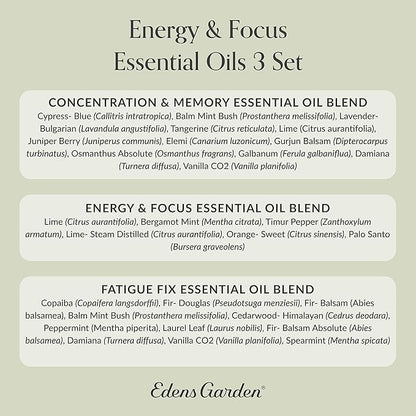 Edens Garden Energy & Focus Essential Oil 3 Set – 100% Pure Therapeutic Grade Aromatherapy Blends Kit For Concentration, Memory & Fatigue – Ideal For Diffuser, Massage, Home & Skin Care, 10 ml/ 3 Pack