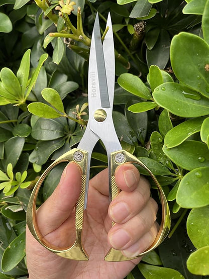 Indoor Plant Shears and Garden Scissors, Houseplant Shears Made of Japan SK5 Stainless Steel, Flowers Herbs and Plant Cutters, Clippers, Trimmers, Loppers, Bonsai Plant Pruning Scissors