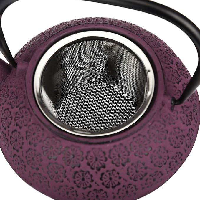 30 oz Cast Iron Teapot Enamel Lining W/Metal Infuser Tea Kettle, Purple