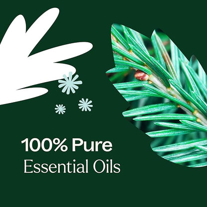 Plant Therapy Christmas Tree Holiday Essential Oil Blend 10 mL (1/3 oz) Crisp & Refreshing, Traditional Holiday Scent, Supports a Healthy Respiratory System