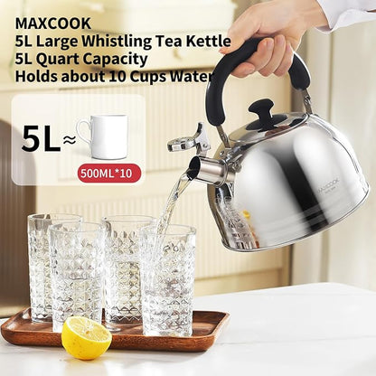 Whistling Tea Kettle for Stovetop, 5L Stainless Steel Tea pot Kettles,Striped frosted water pot, Large kettle teapot with Cool Touch Ergonomic Handle(Mirror Polish)