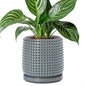 D'vine Dev 6 Inch Ceramic Beaded Stoneware Planter Pot - Flower Pot with Drainage Holes and Saucers for Indoor Succulent Plants or Flowers, Graphite Blue, 27-C-X-9