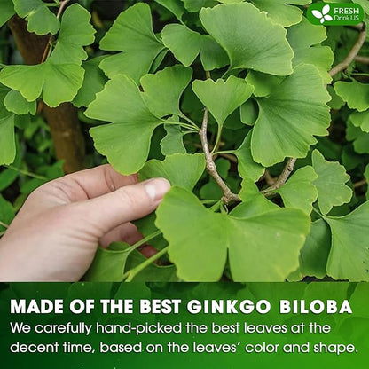 FreshDrinkUS, Premium 30 Ginkgo Biloba Leaf Tea Bags, 100% Natural & Pure from Ginkgo Biloba Leaves. Loose Leaf Herbal Tea. Made with Eco-Conscious Tea Bags. No Sugar, No Caffeine, No Gluten, Vegan.