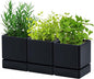 D'vine Dev 4 Inch Herb Planter Pot, Plastic Planter with Drainage Holes and Saucer, Modern Decorative Gardening Pot for Indoor Plants, Flowers, Herbs, Succulents, Black, Set of 3, 76-Y-B3-1