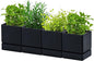 D'vine Dev 4 Inch Herb Planter Pot, Plastic Planter with Drainage Holes and Saucer, Modern Decorative Gardening Pot for Indoor Plants, Flowers, Herbs, Succulents, Black, Set of 4, 76-Y-B4-1