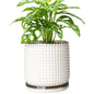D'vine Dev 6 Inch Ceramic Beaded Stoneware Planter Pot - Flower Pot with Drainage Holes and Saucers for Indoor Succulent Plants or Flowers, Smoked White, 27-C-X-1