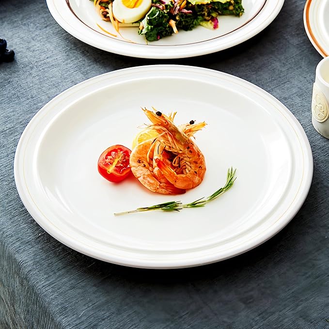 9-inch Porcelain Dinner Plate Set of 6 - Microwave, Oven and Dishwasher Safe, Scratch Resistant. (9-inch Cozy Gray)