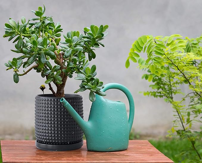 D'vine Dev 6 Inch Ceramic Beaded Stoneware Planter Pot - Flower Pot with Drainage Holes and Saucers for Indoor Succulent Plants or Flowers, Ebony Matte, 27-C-X-6