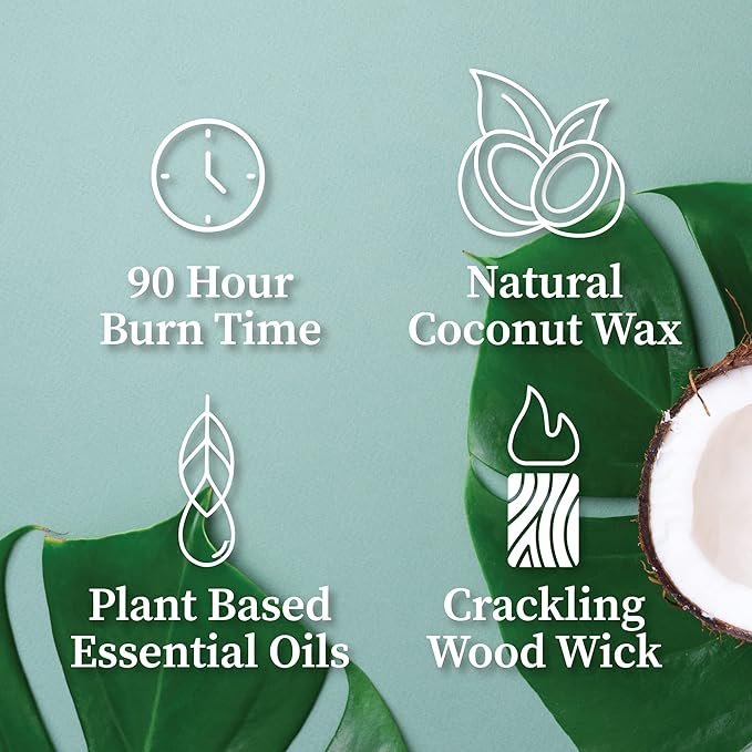Hemlock Park Crackling Wood Wick Candle Handcrafted with Natural Coconut Wax (Large 16 oz, Pomelo Citrus)