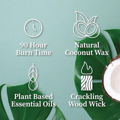 Hemlock Park Crackling Wood Wick Candle Handcrafted with Natural Coconut Wax (Large 16 oz, Pomelo Citrus)