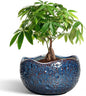 10 Inch Plant Pot - Ceramic Planter for Indoor Outdoor, Round Bonsai Pots, Decorative Flower Pots with Drainage Hole, Modern Unique Planters, House Decor, Home Gifts, Retro Blue