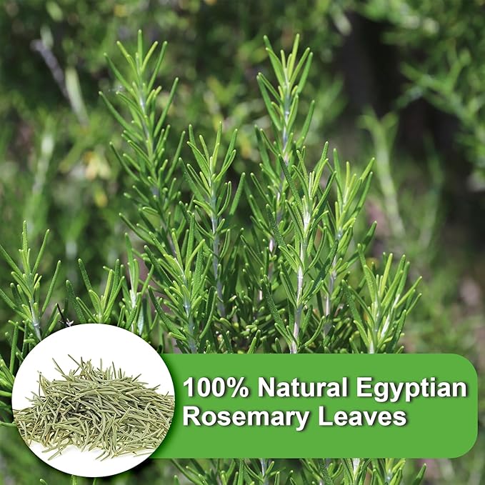 FullChea - Rosemary Tea Bags, 36 Teabags, 1.5g/bag - Premium Dried Rosemary Leaves - Cultivated From Egypt - Non-GMO - Caffeine-free - Distinct Flavor & Support Digestion