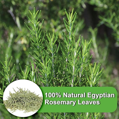 FullChea - Rosemary Tea Bags, 36 Teabags, 1.5g/bag - Premium Dried Rosemary Leaves - Cultivated From Egypt - Non-GMO - Caffeine-free - Distinct Flavor & Support Digestion