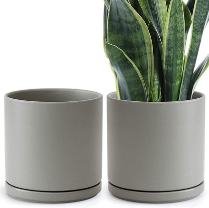 D'vine Dev Set of 2 Plants Pots, 10 Inch Ceramic Planter Pot for Plants with Drainage Hole and Saucer, Speckled Grey, 94-V-E-3