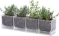 D'vine Dev 4 Inch Herb Planter Pot, Plastic Planter with Drainage Holes and Saucer, Modern Decorative Gardening Pot for Indoor Plants, Flowers, Herbs, Succulents, Clear, Set of 4, 76-Y-D-4