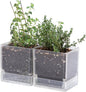 4 Inch Herb Planter Pot, Plastic Planter with Drainage Holes and Saucer, Modern Decorative Gardening Pot for Indoor Plants, Flowers, Herbs, Succulents, Clear, Set of 2, 76-Y-D-2