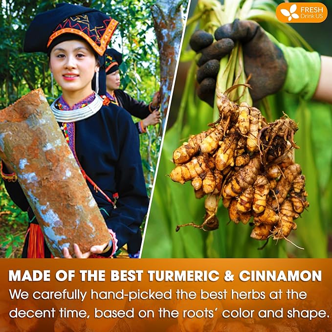 FreshDrinkUS, Premium 135 Turmeric Cinnamon Tea Bags, 100% Natural, Blend of Turmeric, and Cinnamon. Made with Natural Material Tea Bags. No Sugar. No Caffeine. Vegan.
