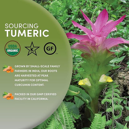 Worldwide Botanicals Organic Turmeric Tea, 1 lb, Tea Cut For Best Infusion - 100% Curcuma longa – Ayurvedic Herb For Optimal Health - 16 ounces