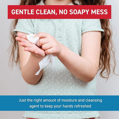 WipeEssentials Hand Sanitizer Wipes, Hand Wipes for Adults and Kids - 360 wipes - 12 Packs of 30ct Hand Sanitizing Wipes, Travel Essentials