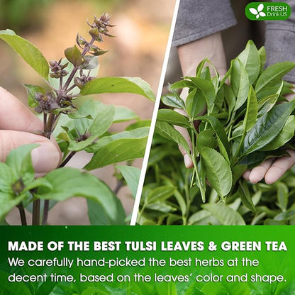 FreshDrinkUS, Premium 30 Tulsi Green Tea Bags, 100% Natural, Blend of Tulsi Holy Basil Leaves, and Green Tea Leaves. Made with Natural Material Tea Bags. No Sugar, Vegan.