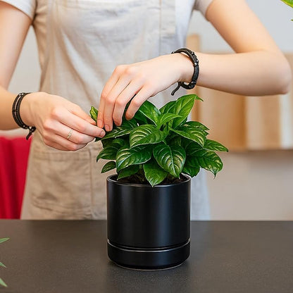 D'vine Dev 4.7 Inch Ceramic Planter Pot with Drainage Hole and Saucer, Indoor Cylinder Round Planter Pot, Black, 94-O-B-2