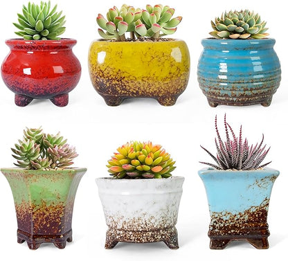 ARTKETTY Succulent Pots - Small Succulent Plant Pot with Drainage Pack of 6, Ceramic Cactus Planter Pots for Indoor Unique Flower Planter Container for Home Office Decor