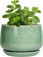 G EPGardening Ceramic Plant Pot - 4 inch Plant Pots with Drainage Hole & Saucer, Small Pots for Plant Indoor Outdoor, Modern Round Planter, Decorative Flower Pot, Room Decor, House Warming Gift, Green