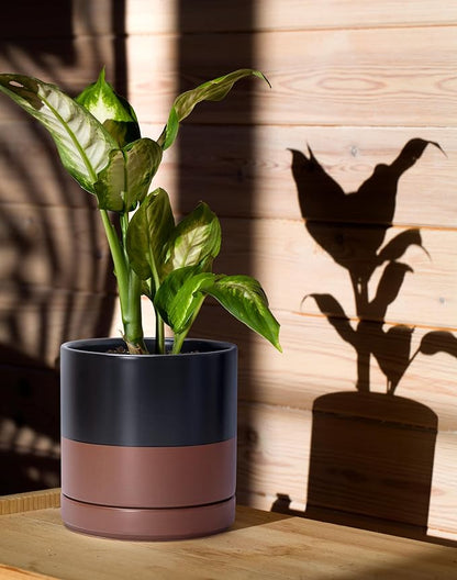 D'vine Dev 6.5 Inch Ceramic Planter Pot with Drainage Hole and Saucer, Indoor Cylinder Round Planter Pot, Black/Speckled Tan, 94-O-C-7