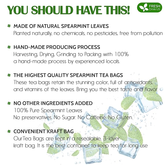 FreshDrinkUS, Premium 45 Spearmint Tea Bags, 100% Natural Spearmint Leaves. Loose Leaf Spearmint Herbal Tea. Spearmint Leaf Tea. No Sugar, No Caffeine, No Gluten, Vegan.