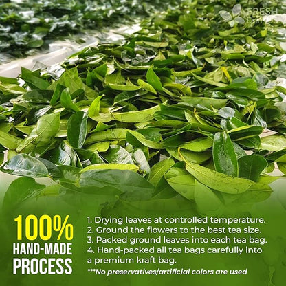 40 Premium Soursop Graviola Leaf Tea Bags, 100% Natural and Pure from Soursop Leaves, Handmade, Made With Natural Materials-Corn Fiber Tea Bag, Sugar/Caffeine/Gluten Free, Hoja Guanabana Tea