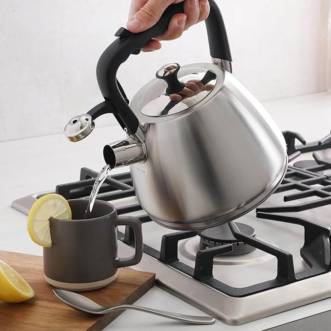 Mr. Coffee Armidale 2.5QT Whistling Tea Kettle, Large Brushed Stainless Steel Kettle for Stovetop, Durable Fast-Boil Tea Pot