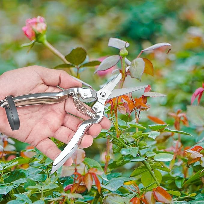 Pruning Shears Set of 3 – SK5 Steel Hand Pruners & Garden Clippers with Non-Slip Handle, Bonsai Shears for Fruit Trees, Flowers & Small Plants
