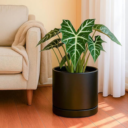 D'vine Dev 10 Inch Ceramic Planter Pot with Drainage Hole and Saucer, Indoor Cylinder Round Planter Pot, Black, 94-O-E-2