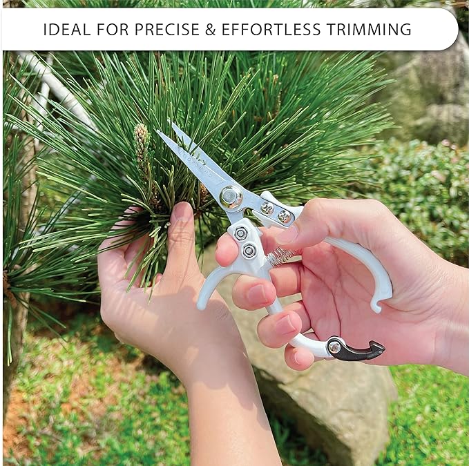 Plant Pruning Shears Garden Trimming Scissors Precision Hand Pruner Herb Snips Flower Clippers Bonsai Trimmers Straight Sharp Blade Tapered Tip Ergonomic Handle Modern Garden Tools