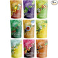 Gardenika Loose Leaf Tea Sampler Box – Herbal, Black and Green Variety Pack – Kosher, No Natural or Artificial Flavors – 9 Pack (1lb 2oz)