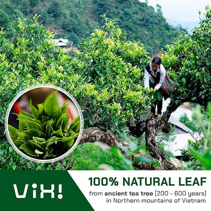 VIXI Black Tea Loose Leaf, (8.00 Oz), Vietnam's Mountain Tea, Bold Flavored, Taste Like Assam Tea, Dried Whole Full Large Leaves, 100% Natural from Ancient Tea Tree