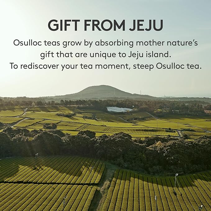 OSULLOC Fig Chocolat Black Tea (Juicy Fig & Chocolate flavor), Fruit Tea Blend, Premium Tea bags from Jeju Isalnd, 20 tea bags