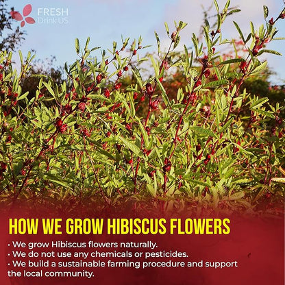 FreshDrinkUS, Premium 140 Hibiscus Flowers Tea Bags, 100% Natural, Handmade & Pure from Hibiscus Flowers. No Sugar/Caffeine/Gluten, Vegan. Tart & Refreshing, Hot or Ice Tea, Great For All Seasons