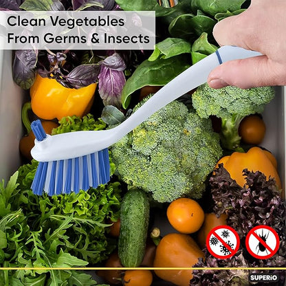 Superio Fruit and Vegetable Scrub Brush with Long Handle - Dish Cleaning Brush, Double Sided Scrubber, Non Scratch Kitchen Scrub Brush for Fruits/Potatoes/Veggies, Sinks, Bath (2, Blue)